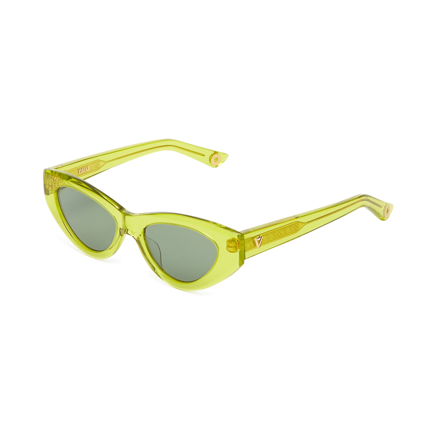 CATFISH SENCHA G15